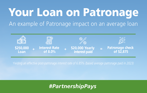 Your Loan on Patronage