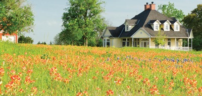 Field of Red Flowers with House in Background