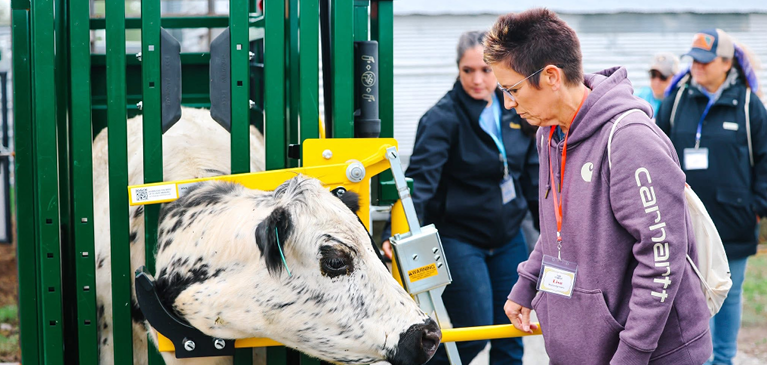 Lisa at the conference