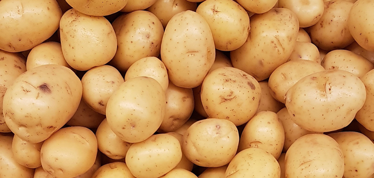 michigan-s-potato-crop-is-favorable-greenstone-fcs