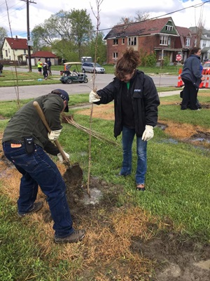 Volunteers Help Plant Trees at Hantz Farms in Detroit | GreenStone FCS