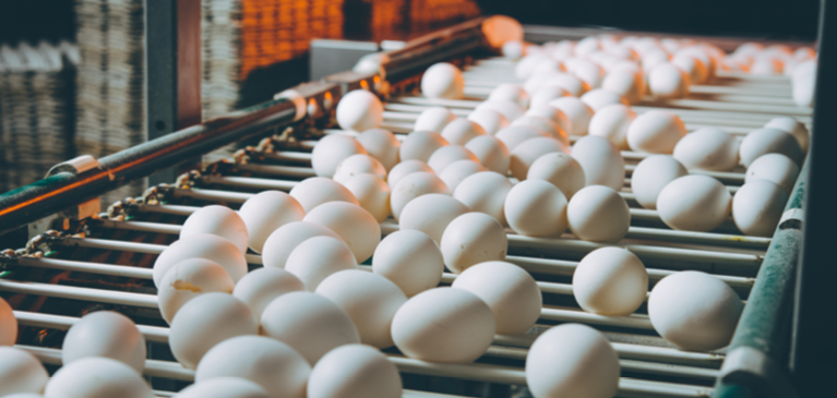 How the avian flu has affected egg prices
