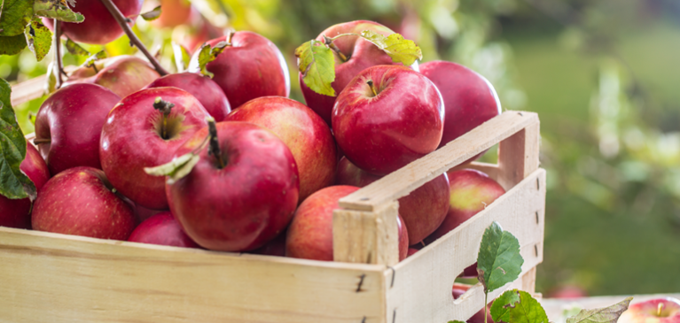 2024 apple outlook