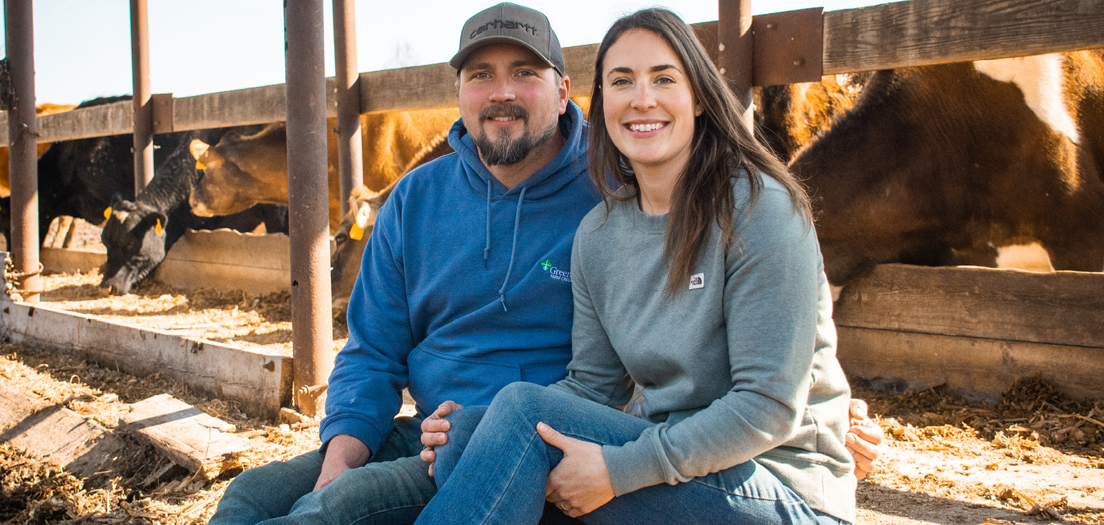 Man and Woman sitting together in front of cattle.